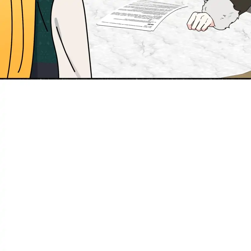 32997430 800 800 13618